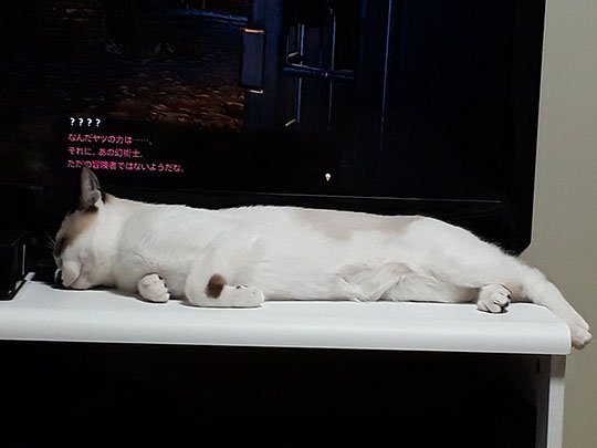 ※画像／ピンズバNEWS編集部