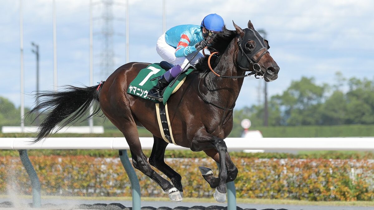 武豊、取りやめになったレースに対し「ジョッキーの進言を聞き入れて