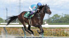 武豊、取りやめになったレースに対し「ジョッキーの進言を聞き入れてくださった、いい判断だった」