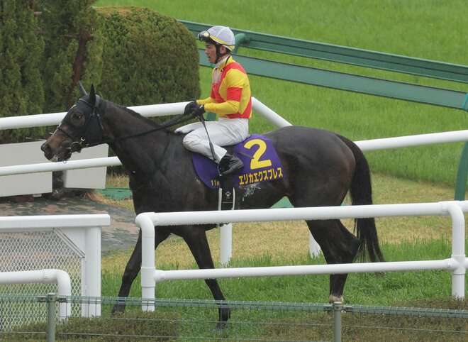 武豊【秋の園遊会で両陛下と競馬談義　皇后様の「マルガのいとこにあたる白毛の馬が皇宮警察に…」 お言葉に驚き】　天才ジョッキーの裏話の画像