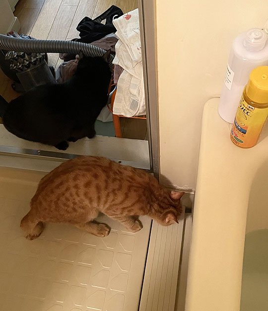 ※画像／ピンズバNEWS編集部