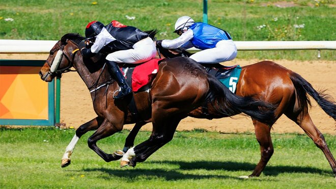 重賞2勝ヤマニンウルスは種牡馬入り…繁殖用だけではない競走馬の「第二の“馬生”」とはの画像