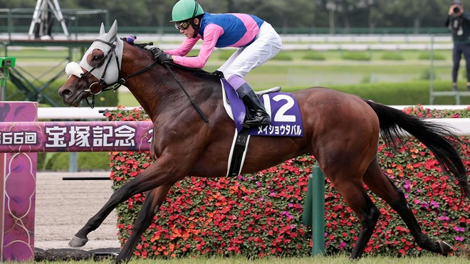 メイショウタバル