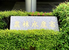 米価暴騰＆大臣交代で大激震!!「農水省の食堂」で白米を食べてみた結果、驚くことばかりだった