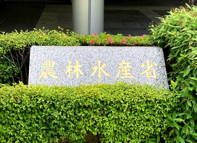 米価暴騰＆大臣交代で大激震!!「農水省の食堂」で白米を食べてみた結果、驚くことばかりだったの画像