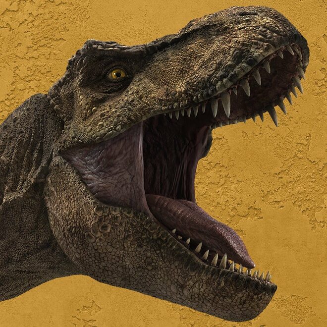 国内初ティラノサウルス科の骨が熊本県で発見！「判明まで10年」の理由を発掘作業に参加した恐竜の専門家に聞いた 化石の価値を示す「年代と発見箇所」の画像