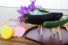 お盆目前「絶対に行きたくない」派、「義務だと思う」派、30～50代既婚男女【義理の実家への帰省】についての本音