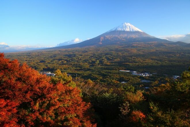 山梨県・青木ヶ原樹海を2台のドローンが夜間パトロール 「人を感知し、声掛け」背景に自殺死亡率全国ワーストの画像