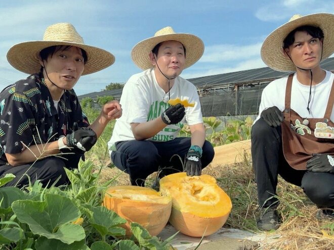 ジャンボかぼちゃ、一足先に食べちゃったマシンガンズ