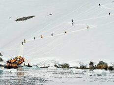 30年で10倍に!!　「南極旅行」がひそかなブーム…参加者からは「違う惑星に来たようだ」の声