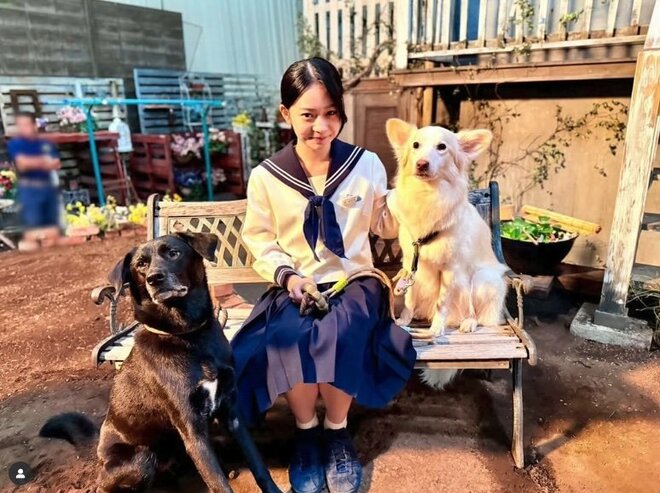 及川光博『ぼくたちん家』は“今期イチ見ないともったいないドラマ”　若干15歳・白鳥玉季の天才的演技と神脚本が織りなす愛に溢れた世界の画像