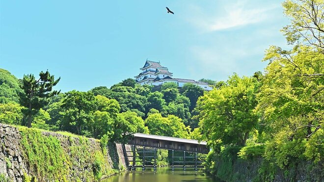 総合1位は和歌山県和歌山市、2位は宮崎県宮崎市　物価高時代を生き抜く「生活コストが安い街」ランキングの画像