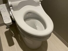 若者の半数以上はトイレで「温水洗浄便座」を使わないと…温水洗浄便座は本当に不衛生なのか
