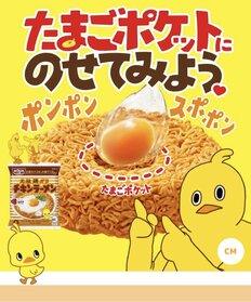 “世界初”のインスタント麺・チキンラーメン超えの定番は、10～30代男女が「好きな袋麺」【トップ4】
