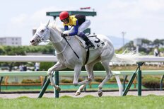【12月13日・中京競馬】武豊が騎乗予定馬を語る　９Rの相棒はマルガ「真っ先にゴール板を駆け抜ける姿を見ていただきたい」