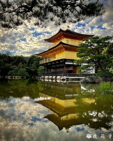 「道端で舞妓さんに…」「錦市場で座り込み」オーバーツーリズム問題の深刻化が進む！元京都市議も警鐘「いつ事故が起きてもおかしくない」