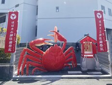 食卓では本物以上になじみ深いカネテツ“ほぼカニ”を超えたのは、20～30代男女が「試してみたい代替食品」【トップ3】