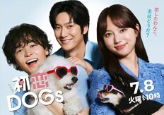 ナ・イヌ効果はそれほど？ 清原果耶・成田凌『初恋DOGs』韓ドラに寄せた日本ドラマの微妙さ、頼みは“サクラと将軍”2匹のわんこ