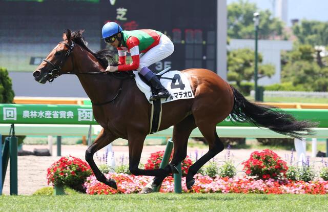 武豊「大谷翔平から刺激を受けて函館騎乗」天才ジョッキーの裏話コラムの画像