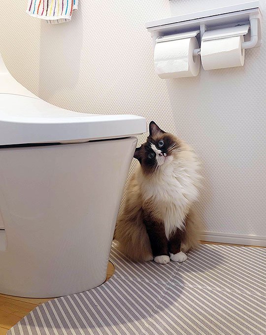 ※画像／ピンズバNEWS編集部