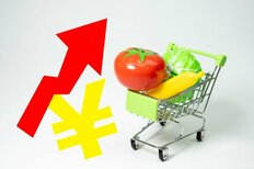 男女100人が「値上がりにショックを受けたもの」、"2倍以上"値上げもあった野菜よりも家計を圧迫した日本人の必需品は【トップ3】