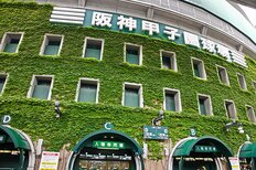 横浜、沖縄尚学、花巻東も敗退…WBCに続きセンバツ高校野球大会も波乱続き、それでもプロが注目する「金の卵」