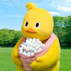 カレー粉で味変も、30～40代男女が「チキンラーメンに“卵以外”でちょい足ししたいもの」【第5位以下】