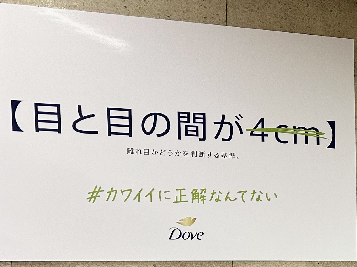 「ルッキズム丸出し」ダヴの駅広告が炎上、逆効果になった背景について原田曜平氏が解説「多様性を押し付けられる若者にとっては“圧”」|ニュース ...