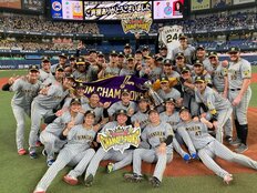 阪神38年ぶり日本一で…「なぜタイガースファンは道頓堀川に飛び込むのか？」背景に「東京への対抗心」精神科医が徹底分析