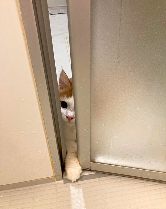 ※画像／ピンズバNEWS編集部