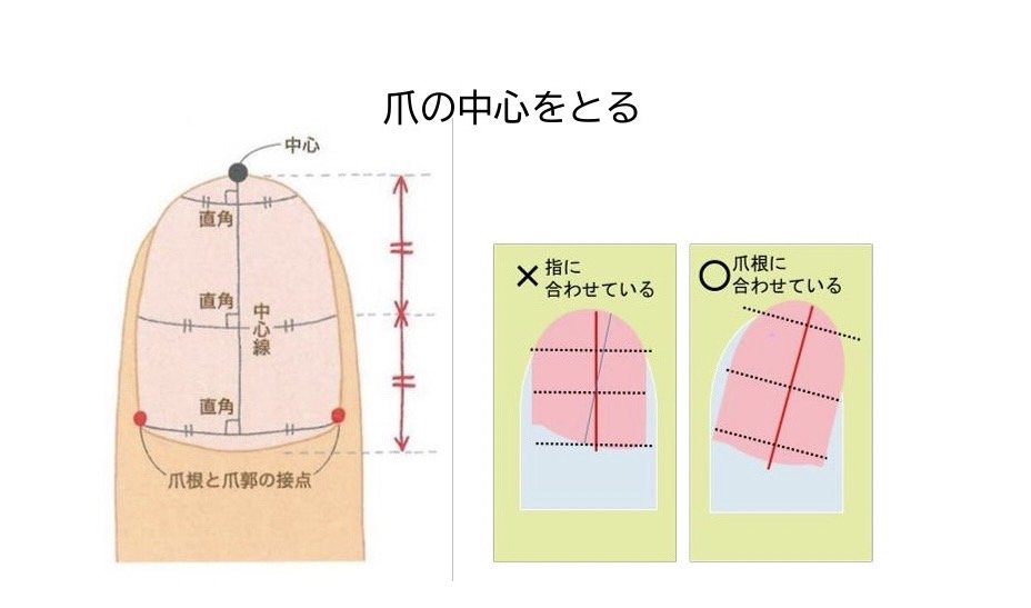 (3ページ目) 日本人の9割が知らない「正しい爪切り 」 中心を定める、左右均等、電動はNG…間違えると感染症リスクも増大 ｜ニュース｜ピンズ ...