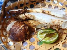いまや“絶滅危惧種”の松茸も、30～40代男女「秋に食べたい旬の味覚」【第4位以下】