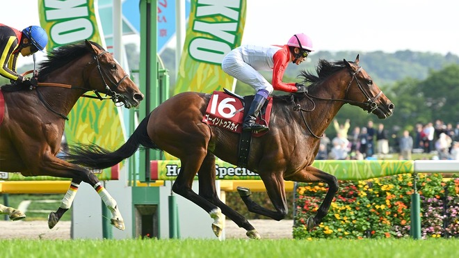 武豊、日本ダービーで7度目Vを狙う「青葉賞馬のゴーイントゥスカイにとって、同じコース、同じ距離で戦えるのは大きなプラス」の画像