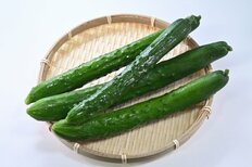 きゅうりは味がしない、ブツブツで不評、20～30代男女が「大人になっても苦手な野菜」【第4位以下】