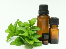 日傘、強力冷えピタシート、ペパーミント…酷暑でも体感マイナス5℃涼しくなる「ひんやり涼感グッズ」