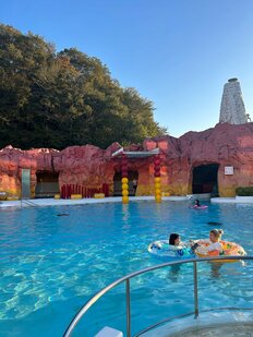 よみうりランド、ハワイアンズなどプールも人気、10～30代女子が「夏休みにこそ行ってみたいテーマパーク」【第4位以下】