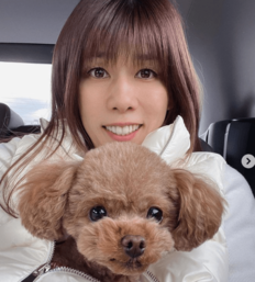 「本当に可愛くなったかも…」吉田沙保里、愛犬にそっくりの“キュートなルームウェア姿”に反響「ワンちゃんも可愛いですが、さおりさんがもっと素敵です！」