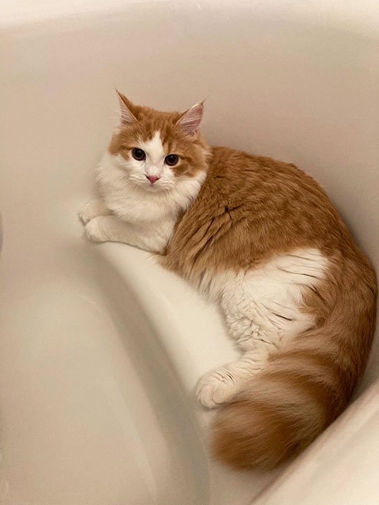 ※画像／ピンズバNEWS編集部