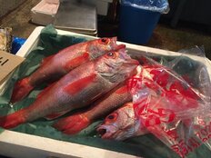 ノドグロ、ブリが人気の石川・富山より人気なのは、10～30代女性が「グルメ旅行したい国内観光地」【第4位以下】