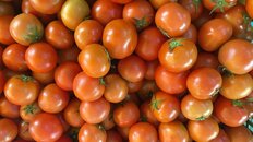 嫌いな食べ物にされがちなトマトをぶっちぎったのは？20～30代男女が「大人になっても嫌いな食べ物」【トップ3】