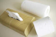 トイレットペーパー・ティッシュ、社会保険料を超えたのは？20～30代が「値上げされて本当に困ったもの」【第4位以下】