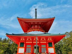 ベネチアでは“入場料”世界中で深刻化する「環境公害」高野山は公衆トイレに2000万円、無料駐車場維持費、救急車も…限界実態