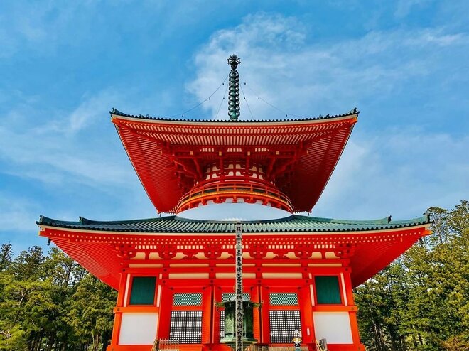 ベネチアでは“入場料”世界中で深刻化する「環境公害」高野山は公衆トイレに2000万円、無料駐車場維持費、救急車も…限界実態の画像