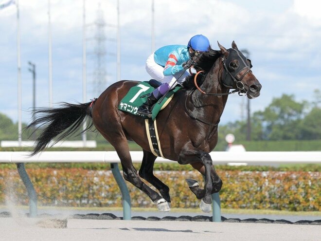 ヤマニンウルス