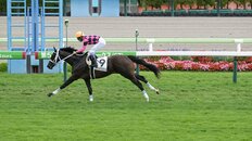 武豊、1月24日の睦月Ｓで“鮮やかなロイヤルブルー”の勝負服を着用「運を呼び込み今年も勝利を狙う」