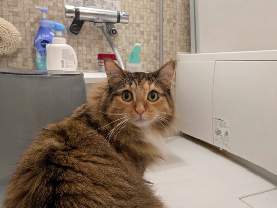 ※画像／ピンズバNEWS編集部