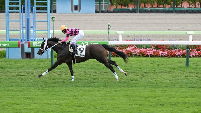 3歳牝馬のスマートプリエール