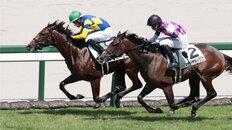 武豊が『チャンピオンズＣ』を振り返る　浜中俊騎手のピンチヒッターとして騎乗「浜中君とした作戦会議」