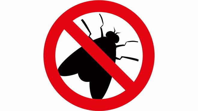 プロが教える“コバエ“撃退法　排水溝に台所…どこからともなく湧いてくる害虫をシャットアウトする方法はあるのか専門業者に聞いてみたの画像