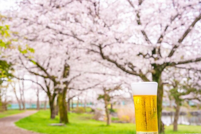 お花見をさらに盛り上げる2024年「春の缶ビール」 17年ぶりの新ブランド、桜の花びらを使用したものもの画像